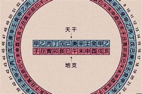 天干地支 2024|今年是什么年天干地支 今年是什么年庚